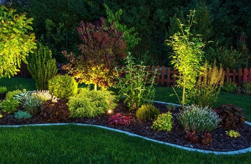 Landscape Lighting Ideas for Curb Appeal