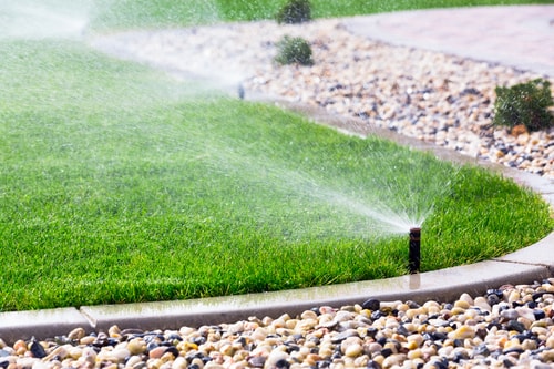 Proper Watering for Grass and Garden3