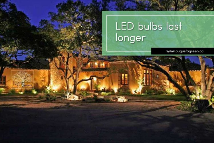 LED bulbs last longer.