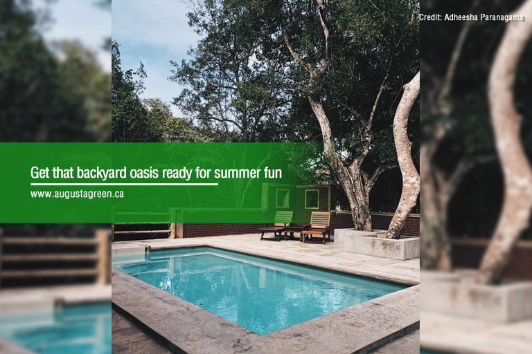 get backyard oasis