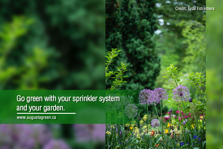 go green with your sprinkler system