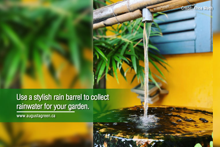 use a stylish rain barrell