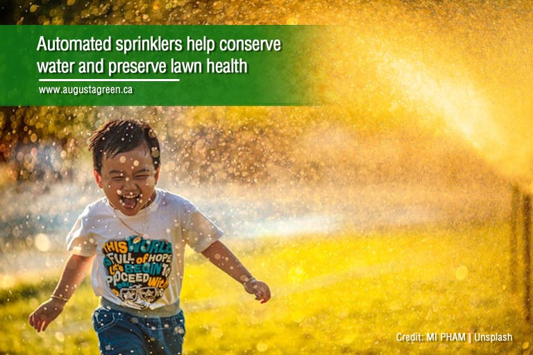 automated sprinklers help