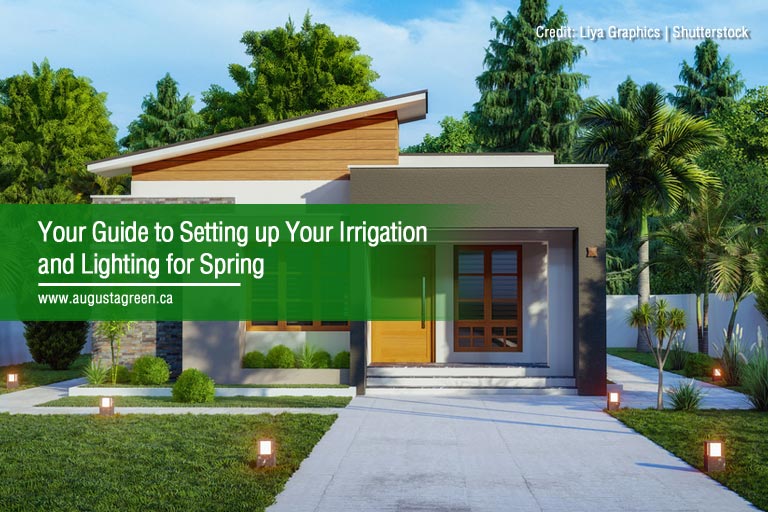 Your Guide to Setting up Your Irrigation and Lighting for Spring