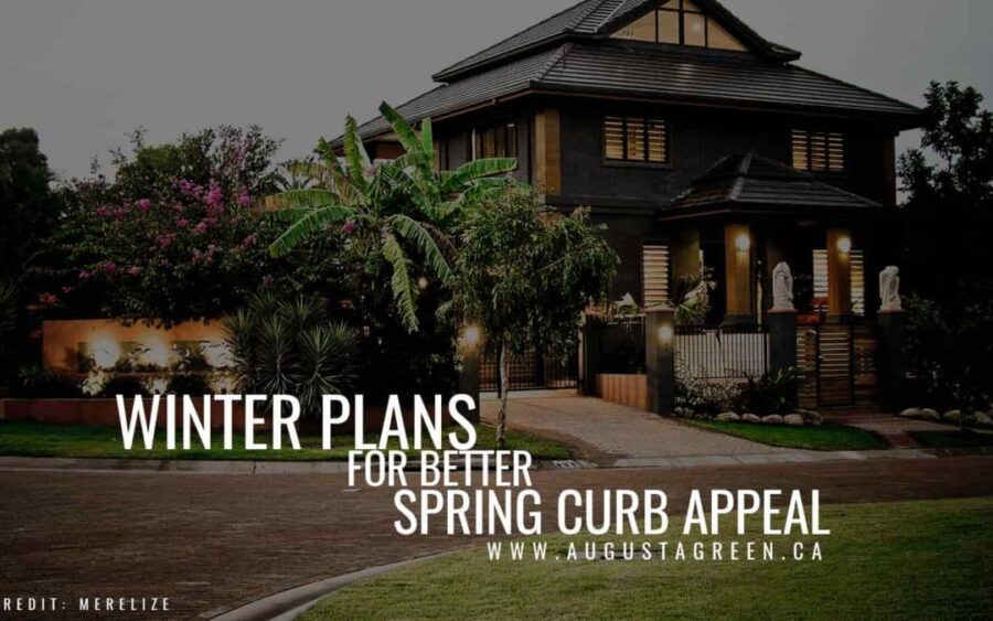 Winter plans for better spring curb appeal