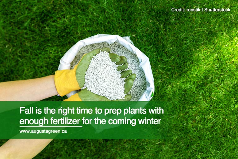 Fall is the right time to prep plants with enough fertilizer for the coming winter
