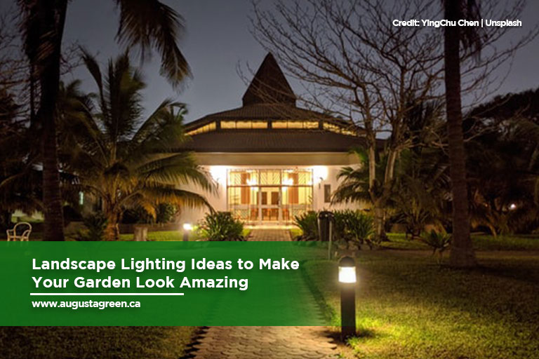 Landscape Lighting Ideas to Make Your Garden Look Amazing