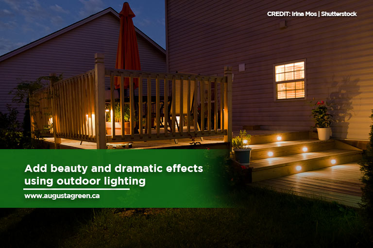 Add beauty and dramatic effects using outdoor lighting