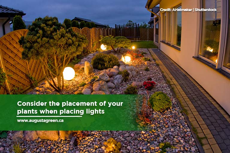 Consider the placement of your plants when placing lights