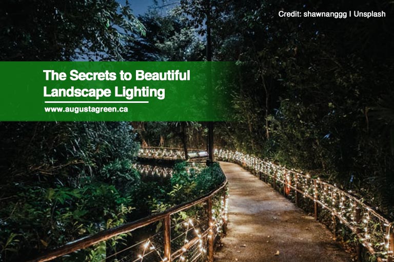 The Secrets to Beautiful Landscape Lighting