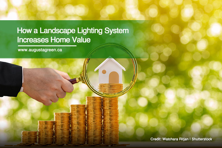 How a Landscape Lighting System Increases Home Value