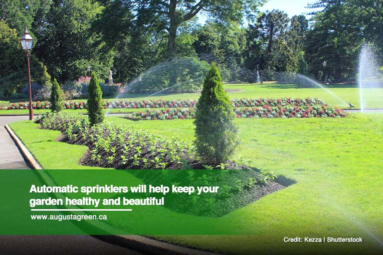 Automatic sprinklers will help keep your garden healthy and beautiful