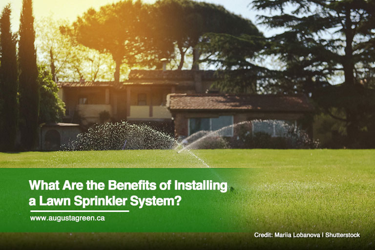 What Are the Benefits of Installing a Lawn Sprinkler System?