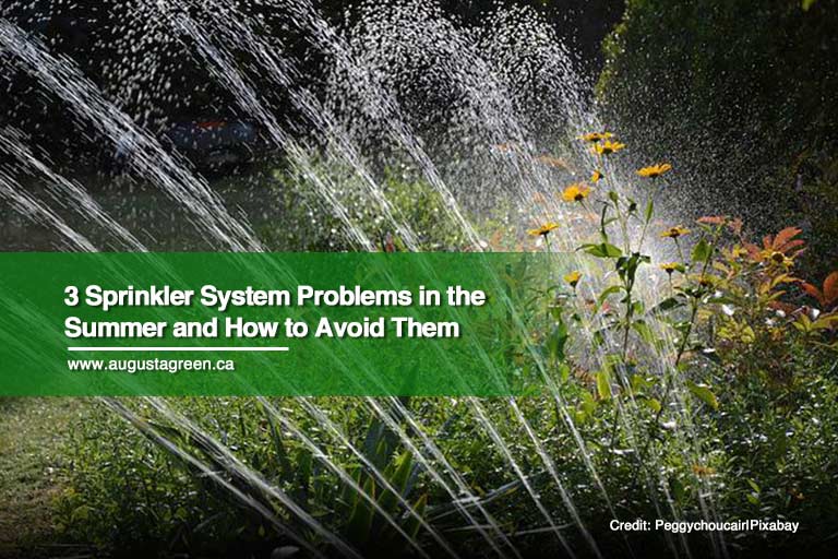 3 Sprinkler System Problems in the Summer and How to Avoid Them
