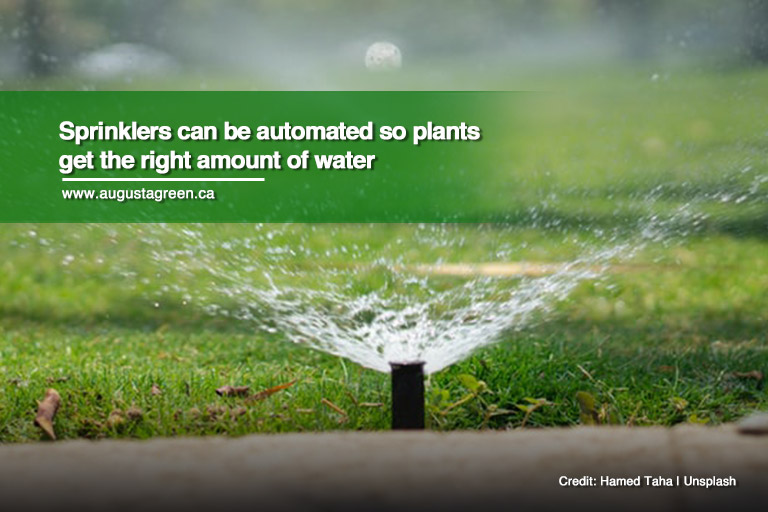 Sprinklers can be automated so plants get the right amount of water