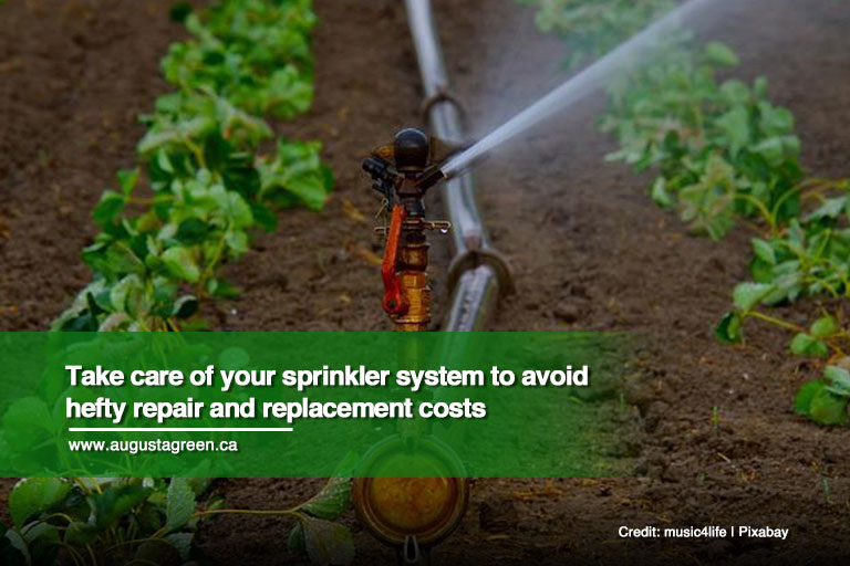 Take care of your sprinkler system to avoid hefty repair and replacement costs