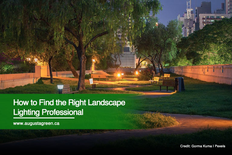 How to Find the Right Landscape Lighting Professional