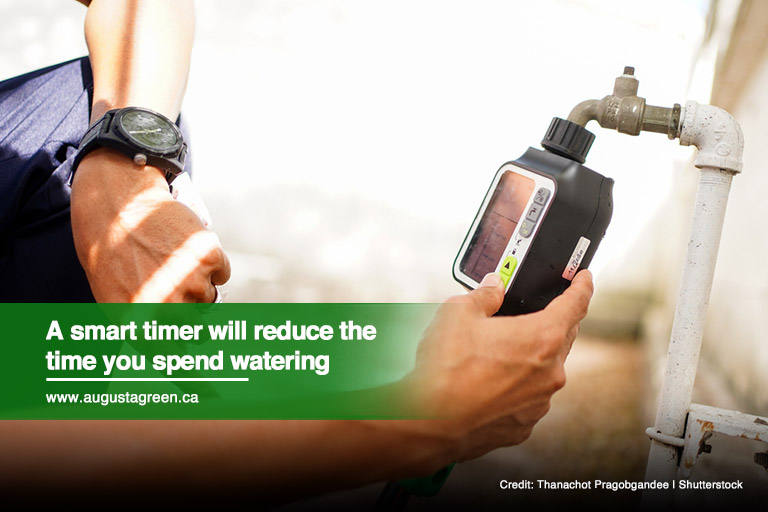 A smart timer will reduce the time you spend watering 