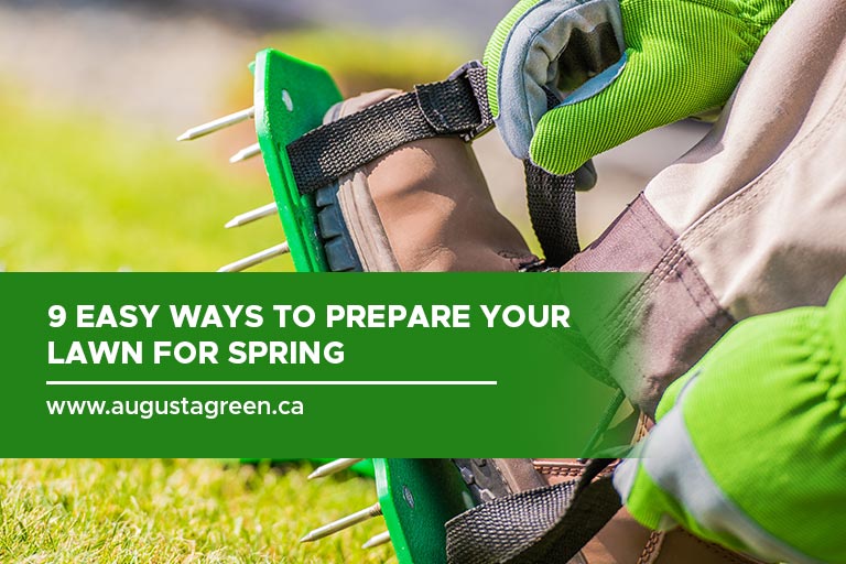 9 Easy Ways to Prepare Your Lawn for Spring
