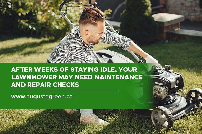 After weeks of staying idle, your lawnmower may need maintenance and repair checks