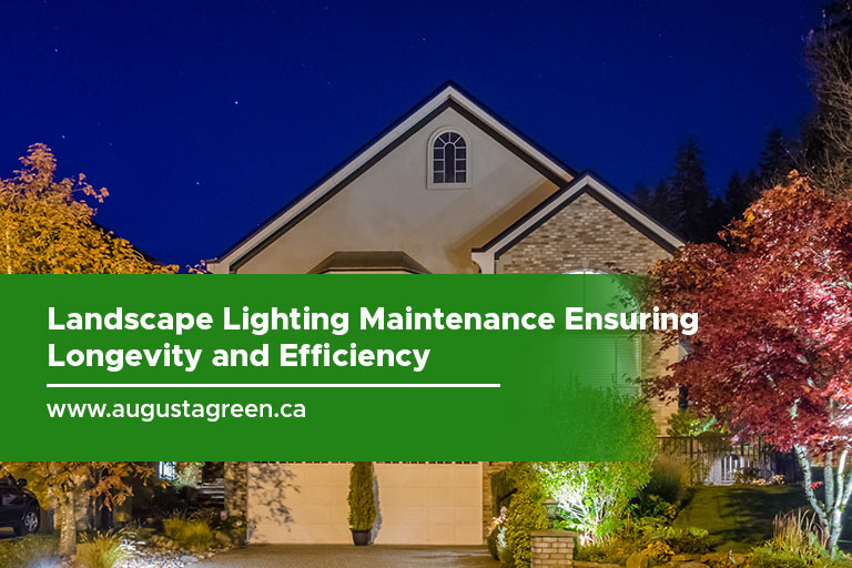 Outdoor Illumination: Maintenance Essentials