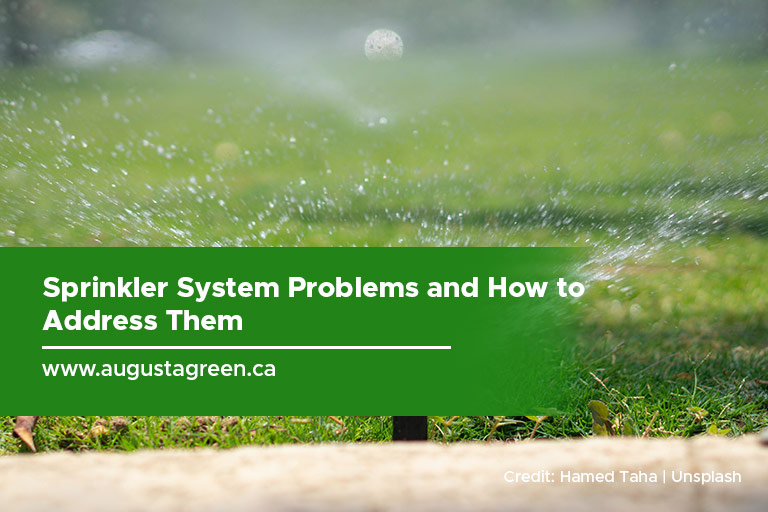 Sprinkler System Problems and How to Address Them