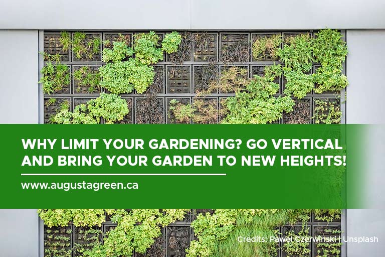 Why limit your gardening? Go vertical and bring your garden to new heights!