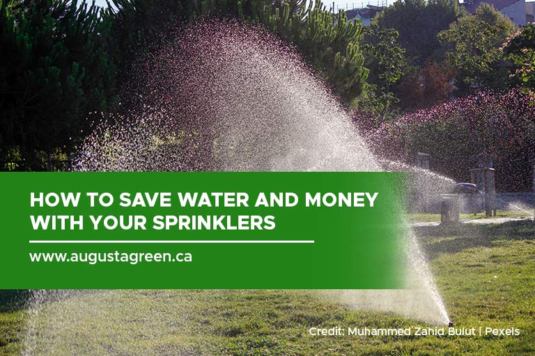 How to Save Water and Money With Your Sprinklers