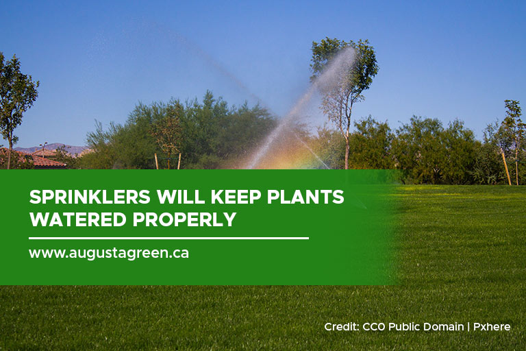 Sprinklers will keep plants watered properly