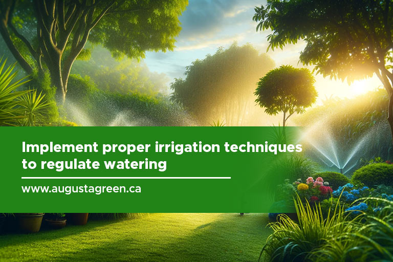 Your Go-To Experts for Lawn Sprinkler Systems in Toronto