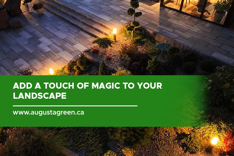Add a touch of magic to your landscape