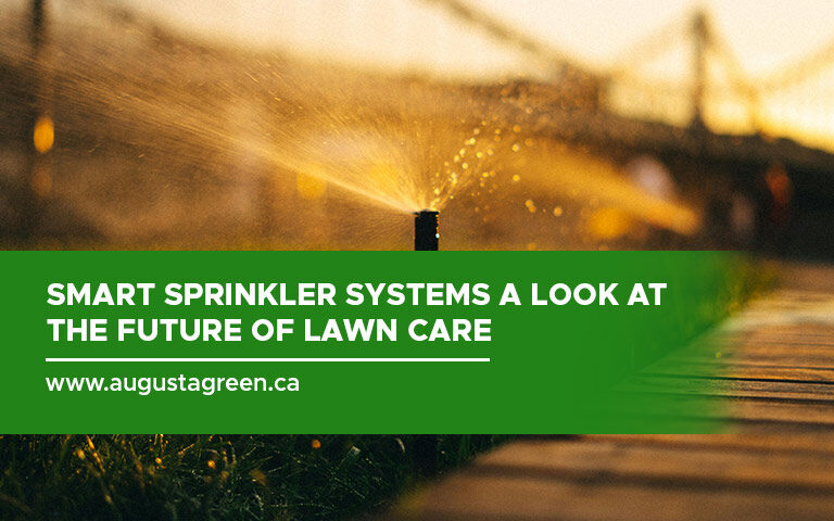 Smart Sprinkler Systems A Look at the Future of Lawn Care