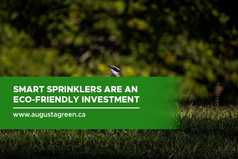 Smart sprinklers are an eco-friendly investment