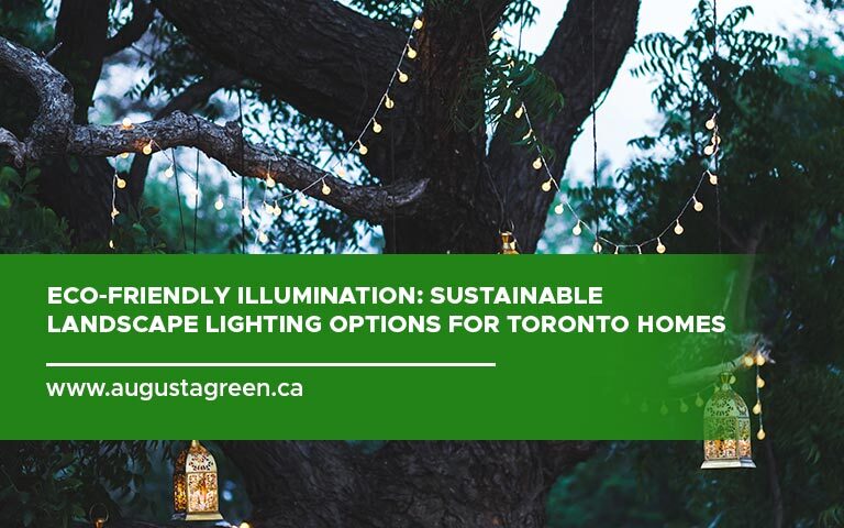 Eco-Friendly Illumination: Sustainable Landscape Lighting Options for Toronto Homes
