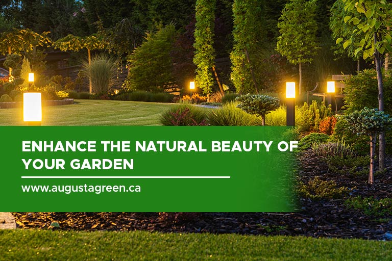 Enhance the natural beauty of your garden