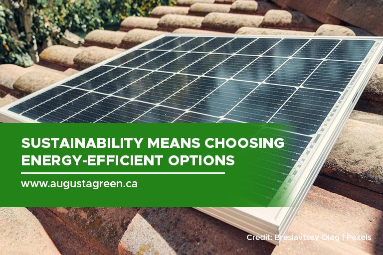 Sustainability means choosing energy-efficient options